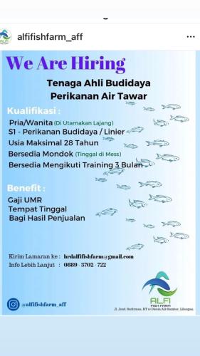 info Loker Tenaga Ahli Budidaya Perikanan Air Tawar-Belitung