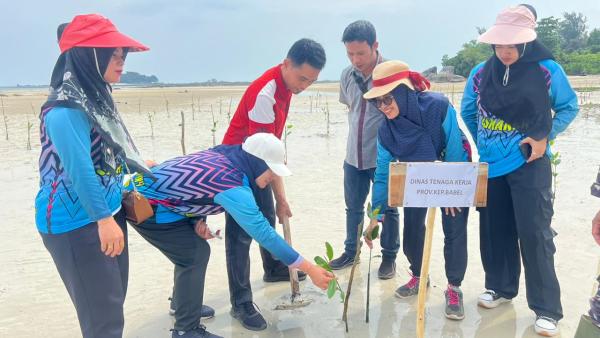 Disnaker Babel Tanam Bibit Mangrove di Pantai Penganak