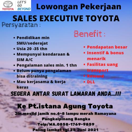 info Loker Sales Executive @PT.Istana Agung Toyota-Pangkalpinang