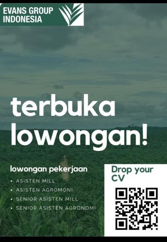 info Loker Ast Mill,Ast Agronomi,senior Ast Mil,senior Ast Agtonomi,manager Agronomi &  Spv mill(non staf) @PT.EVANTS Indonesia-Bangka Belitung