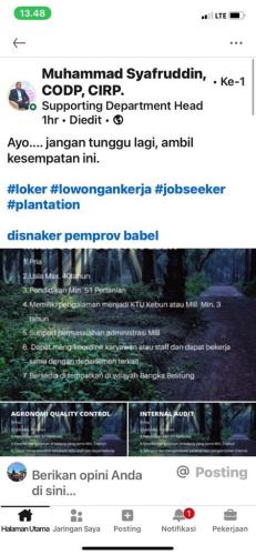 info Loker Agronomi QC,Mill Cost Controller,internal audit -PT THEP-Bangka Belitung