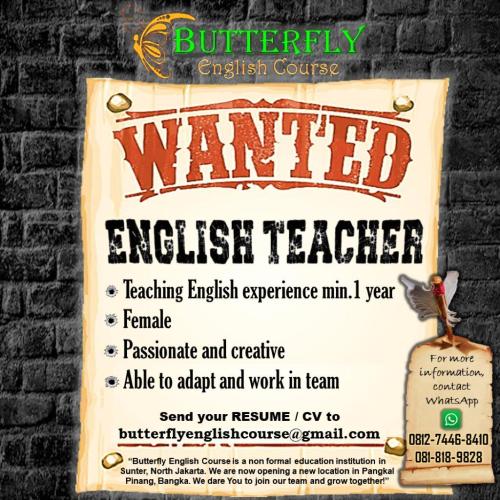 info Loker ENGLISH TEACHER-Butterfly English Course-Penempatan Pangkalpinang