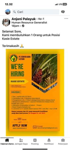 info Loker Kasie Estate-PT Fenyen Agro Lestari