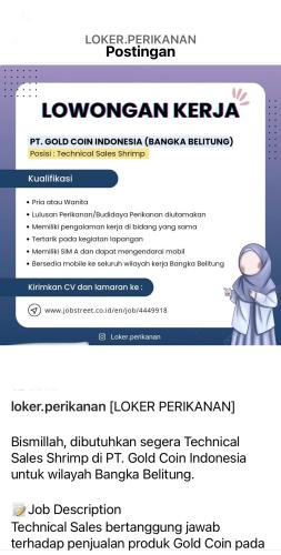info Loker Technical Sales Shrimp-PT Gold Coin Indonesia-Bangka Belitung