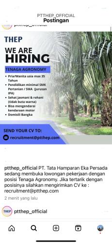 info Loker Tenaga  Agronomy-PT THEP-Bangka