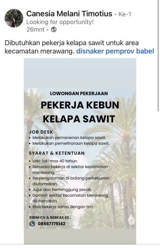 Wirausaha Perkebunan Kelapa Sawit (perseorangan) mencari Pekerja Kebun