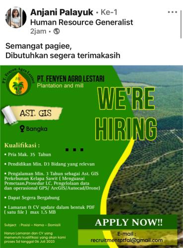 info Loker Ast.GIS-PT Fenyen Agro Lestari-Bangka