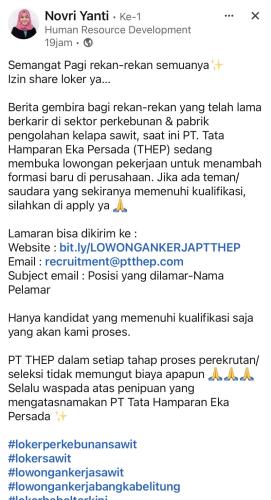 info Loker PT TATA HAMPARAN EKA PERSADA-Bangka