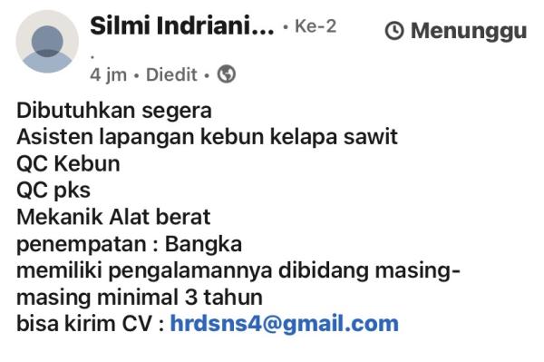 info Loker Perkebunan Kelapa Sawit-Bangka