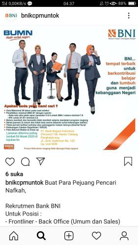 info Peluang Magang