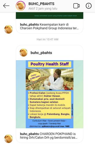 info Loker POULTRY HEALTH STAFF Area Palembang/Bangka/Bengkulu