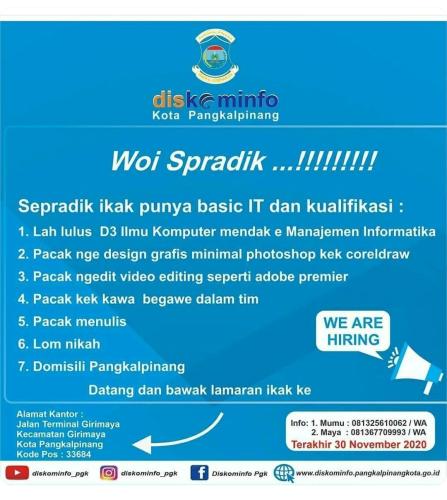 info Loker Tenaga Kontrak-Basic iT @Diskominfo Pangkalpinang
