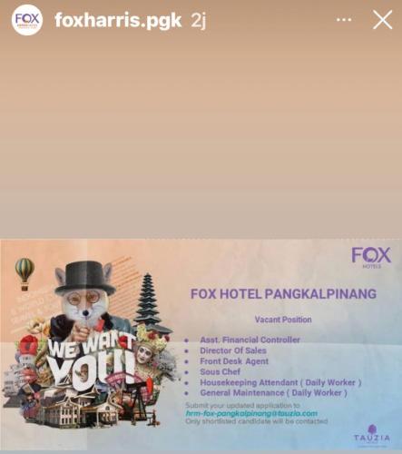 info Loker Asst Financial Controller,Director of Sales,Front Desk Agent,Sous Chef,Housekeeping Attendant & General Maintenance @Fox hotel Pangkalpinang