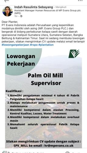 info Loker Palm Oil Mill Supervisor @PT.Evans Indonesia-penempatan Bangka Belitung