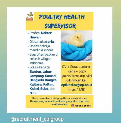 info Loker Poultry Health Supervisor-Bangka