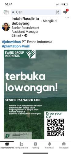 info Loker Senior Manager Mill @PT Evans Indonesia-Bangka 