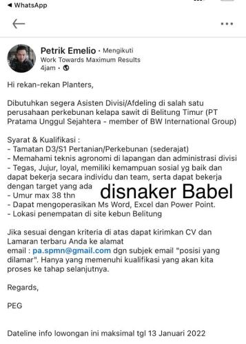info Loker Asisten Divisi/Afdeling @PT Pratama Unggul Sejahtera-Belitung