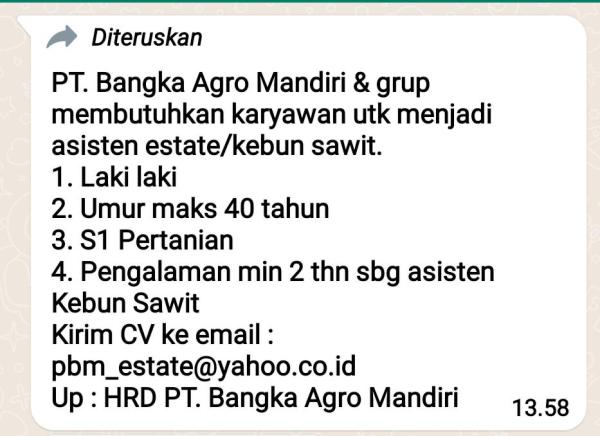 info Loker Asisten Estate/kebun sawit-PT Bangka Agro Mandiri-Mendo Barat