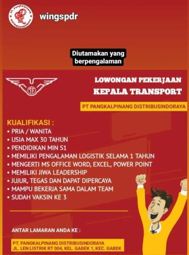 info Loker Staff IT &  Kepala Transport-PT Pangkalpinang Distribusindo Raya