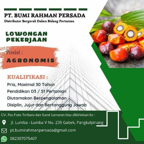 info Loker AGRONOMIS-PT BUmi Rahman Persada-Pangkalpinang