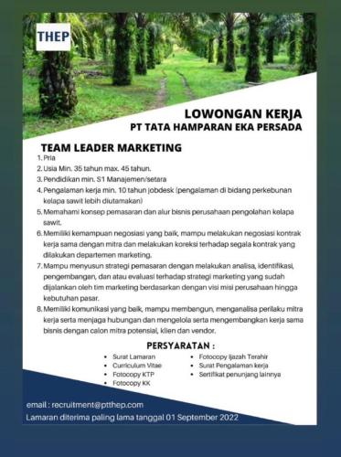info Loker Tim Leader Marketing-PT THEP-Bangka