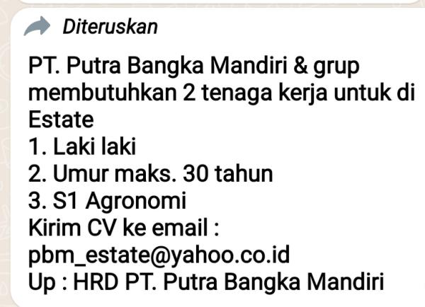 info Loker Conductor Estate-PT Putra Bangka Mandiri-Bangka