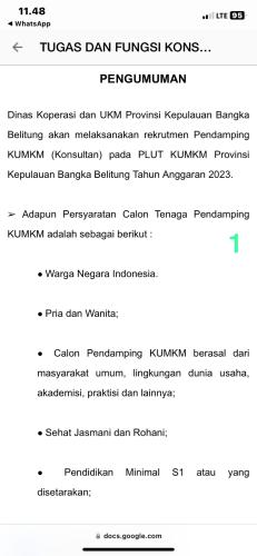 Open Recruitment-7 Personil Konsultan Pendamping PLUT KUMKM-Prov Kep Babel Tahun Anggaran 2023