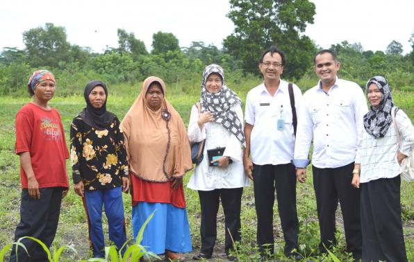 Tim Program