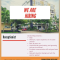 info Loker Receptionist @bangka city Hotel-Pangkalpinang